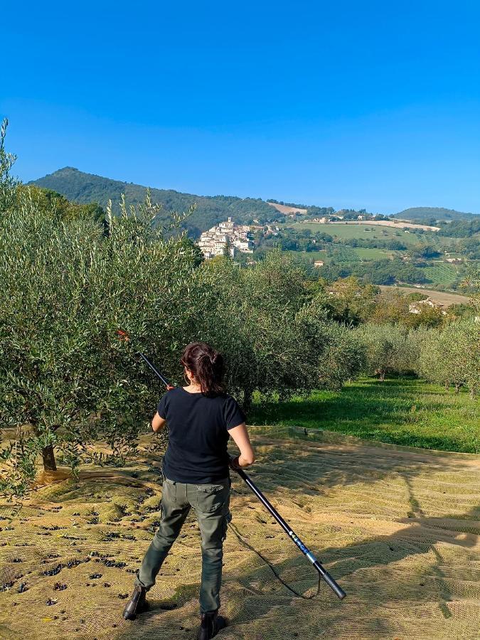 Degli Alessandri House Sassoferrato Luaran gambar